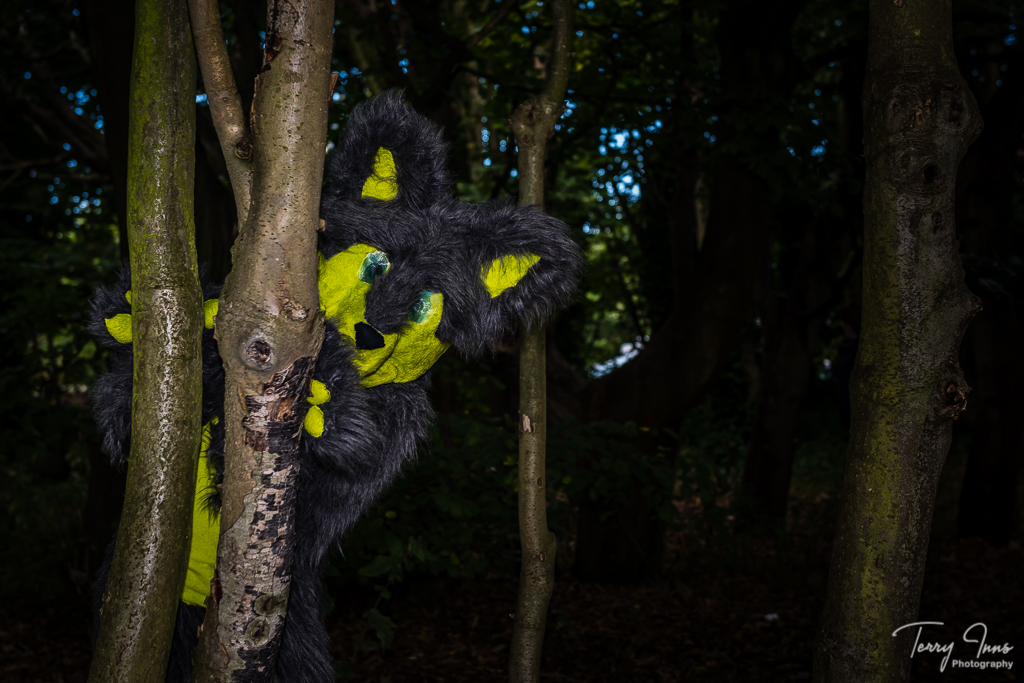 Peek-a-boo!