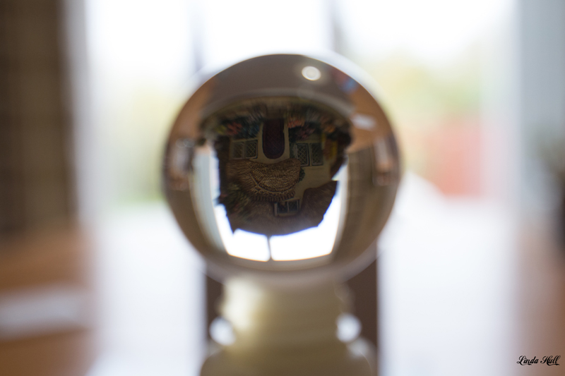 Thought was that I would be best placing the lens ball in front of my patio window