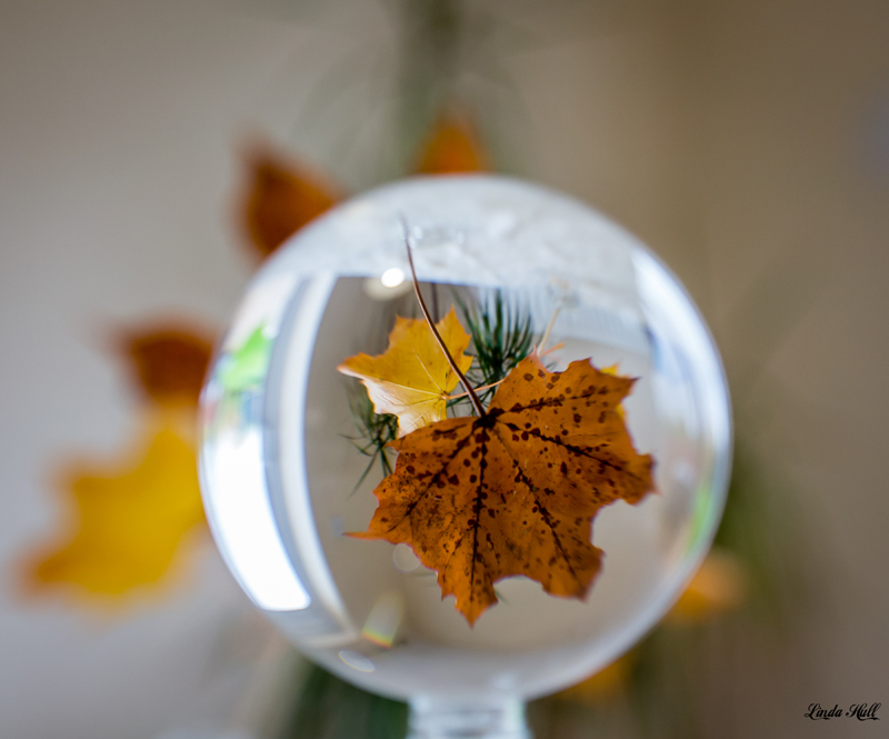 First try with a lensball