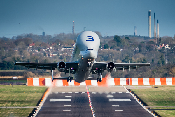 Taking Flight